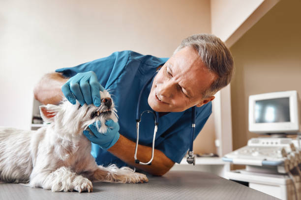 Best Emergency Root Canal Treatment in Ridgecrest, CA